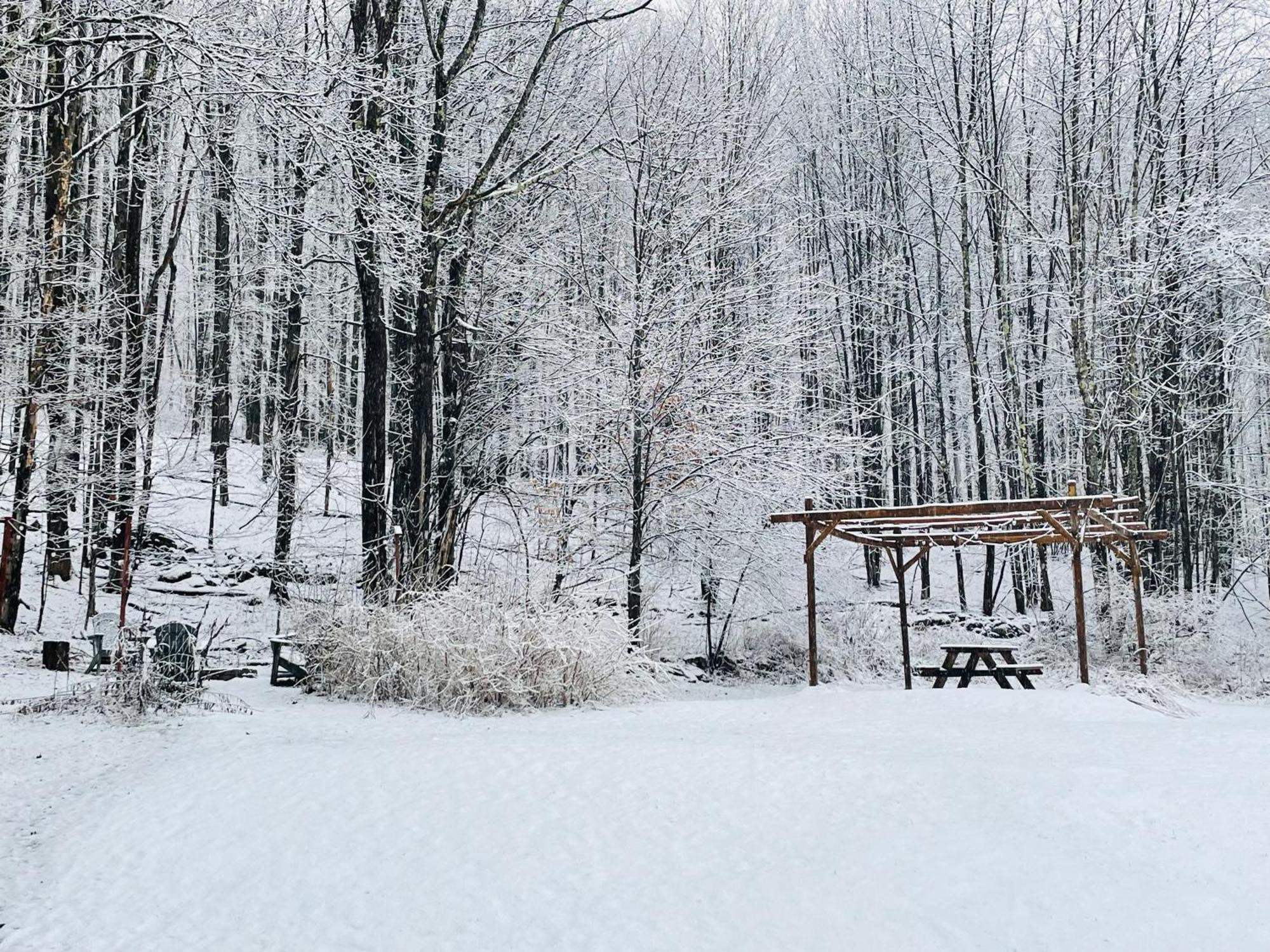Cozy Cottage With Jacuzzi And Fire Pit And Reading Nook! Livingston Manor Exterior foto